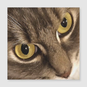 Artistic Close Up Cat Portrait Eyes and Nose