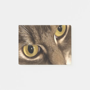 Artistic Close Up Cat Portrait Eyes and Nose Post-it Notes