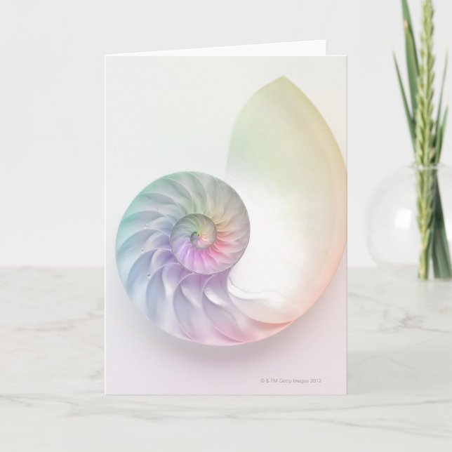 Artistic coloured nautilus image card (Front)