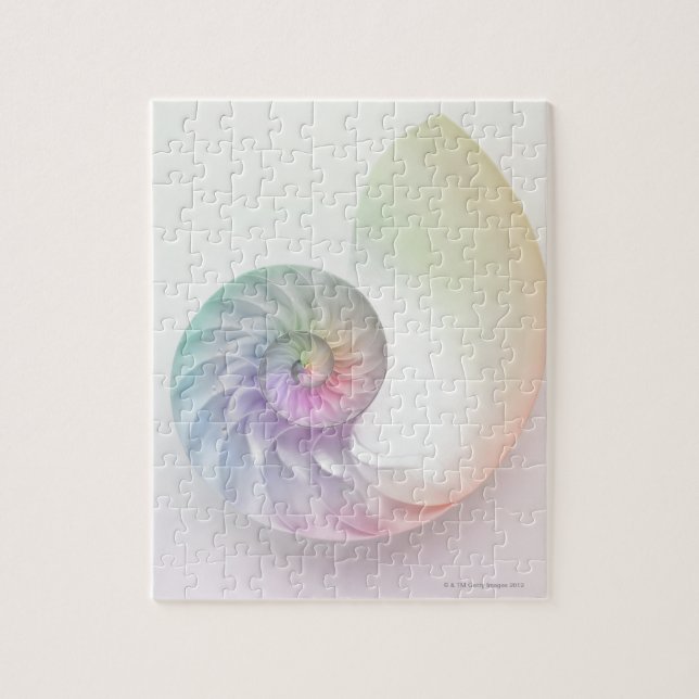 Artistic coloured nautilus image jigsaw puzzle (Vertical)