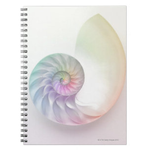 Artistic coloured nautilus image notebook