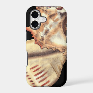 Artistic Conch Shells