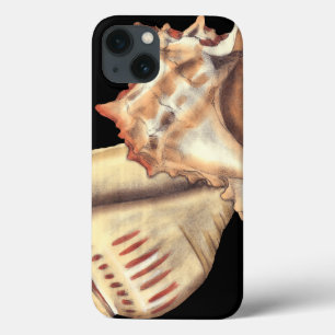 Artistic Conch Shells iPhone 13 Case
