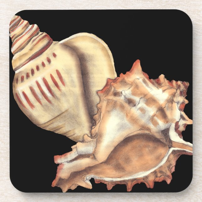 Artistic Conch Shells Coaster (Front)
