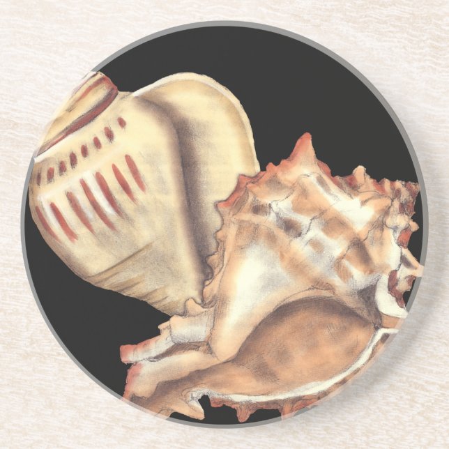 Artistic Conch Shells Coaster (Front)