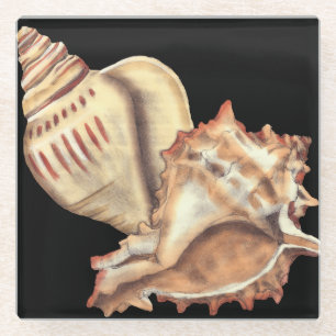 Artistic Conch Shells Glass Coaster