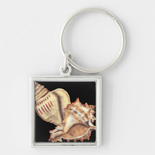 Artistic Conch Shells Key Ring