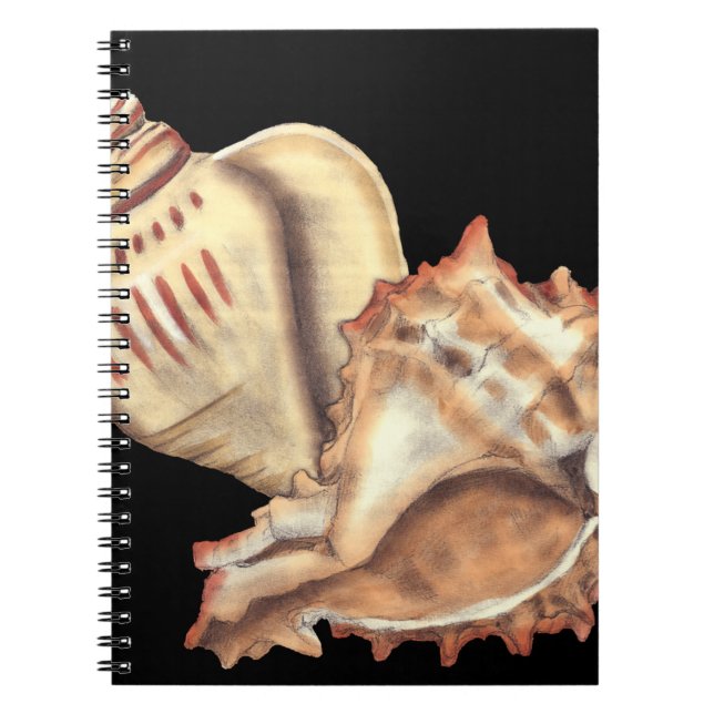 Artistic Conch Shells Notebook (Front)