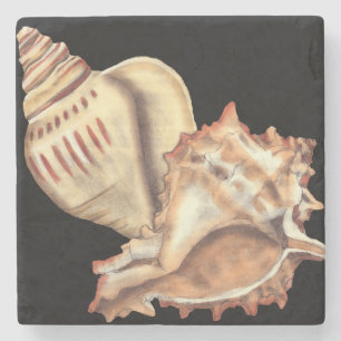 Artistic Conch Shells Stone Coaster