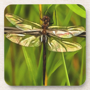Artistic Dragonfly In Brown And Yellow On Green Coaster