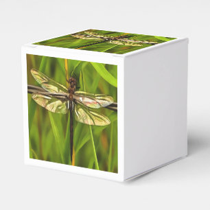 Artistic Dragonfly In Brown And Yellow On Green Favour Box