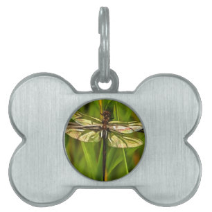 Artistic Dragonfly In Brown And Yellow On Green Pet Name Tag