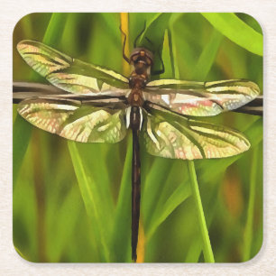 Artistic Dragonfly In Brown And Yellow On Green Square Paper Coaster