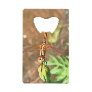 Artistic Dragonfly Resting On A Flower Head