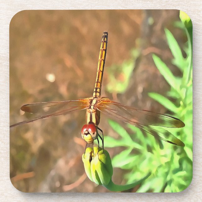 Artistic Dragonfly Resting On A Flower Head Coaster (Front)