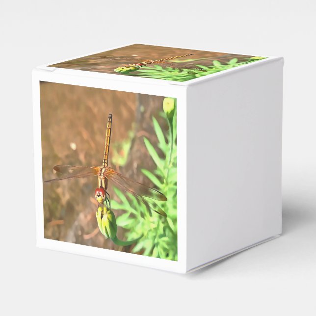 Artistic Dragonfly Resting On A Flower Head Favour Box (Front Side)