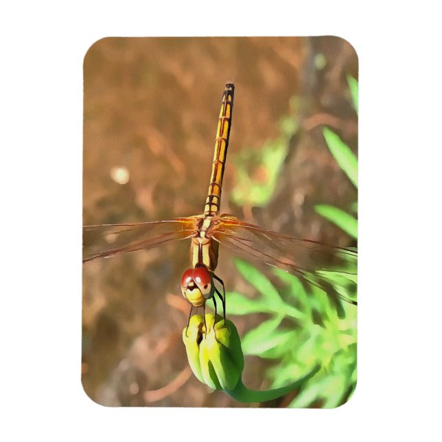 Artistic Dragonfly Resting On A Flower Head Magnet (Vertical)