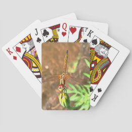 Artistic Dragonfly Resting On A Flower Head Playing Cards