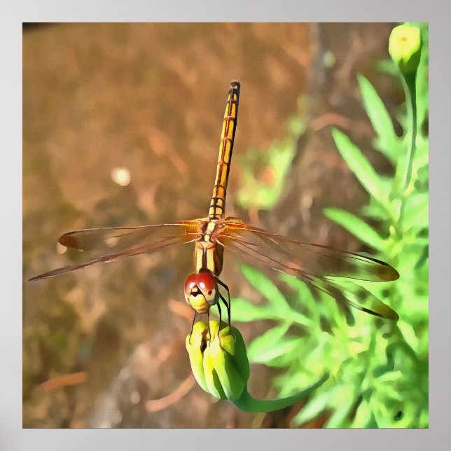 Artistic Dragonfly Resting On A Flower Head Poster (Front)