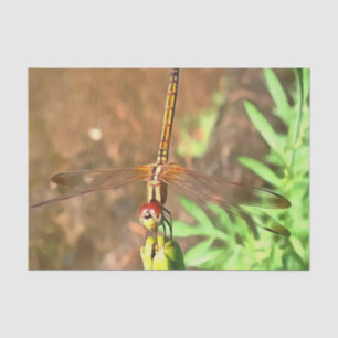 Artistic Dragonfly Resting On A Flower Head Tissue Paper