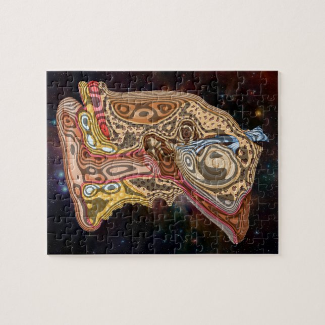 ARTISTIC EAR ANATOMY JIGSAW PUZZLE (Horizontal)