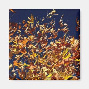 Artistic Fall Leaves Against Deep Blue Sky Magnet