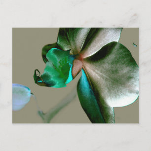 Artistic Flower in Blue, Green and Grey Tones Postcard