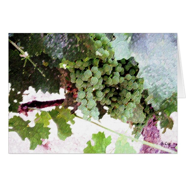 Artistic Grapes, S Cyr (Front Horizontal)