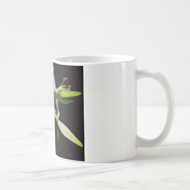 Artistic Lily Collection-1 Coffee Mug (Right)