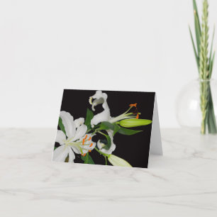 Artistic Lily Collection-Greeting Cards