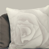 Artistic Macro Rose | Cream & Taupe