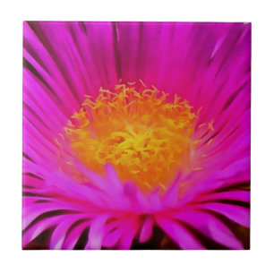 Artistic Magenta Pink Aster Flower Floral Art Ceramic Tile