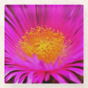 Artistic Magenta Pink Aster Flower Floral Art Glass Coaster