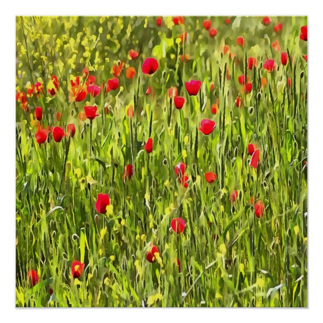 Artistic Meadow Poppy Landscape Poster (Front)