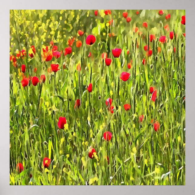 Artistic Meadow Poppy Landscape Poster (Front)