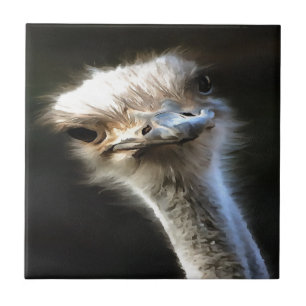 Artistic Ostrich Portrait With Goofy Expression Tile