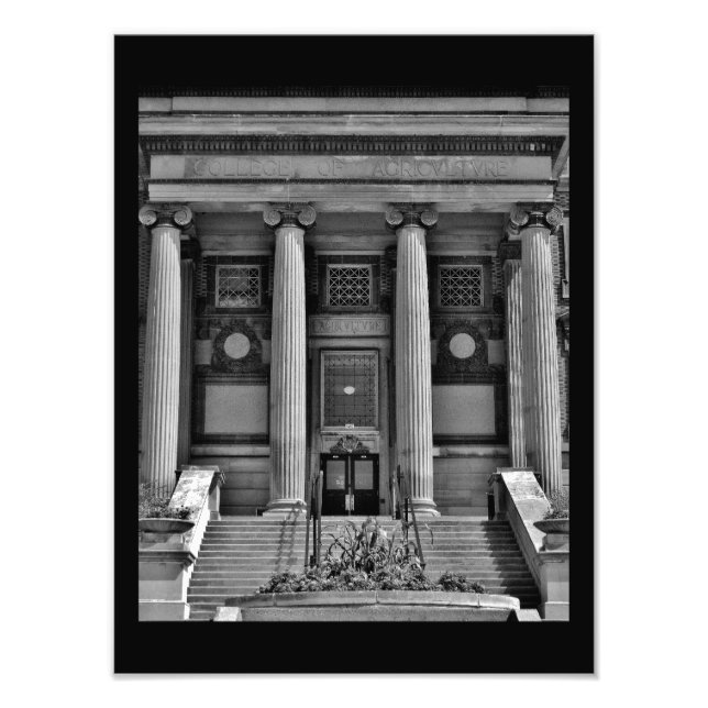 Artistic Pillars Photo Print (Front)
