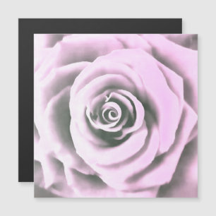 Artistic Pink Rose rb