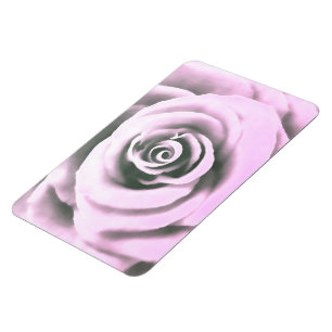 Artistic Pink Rose  rb Magnet