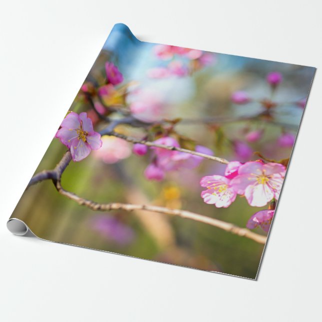 Artistic Pink Sakura Flowers In The Cherry Garden Wrapping Paper (Unrolled)