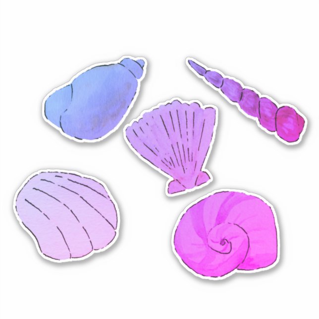 Artistic Purple Sea Shells (Front)
