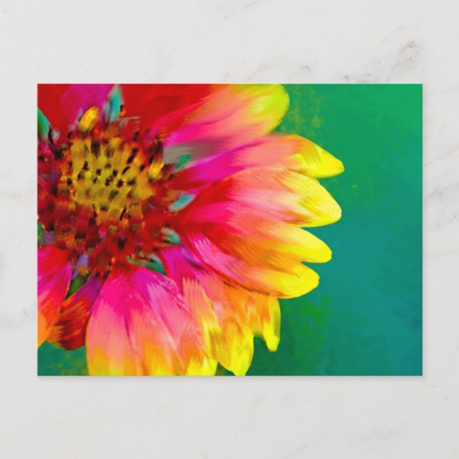 Artistic rendition of Indian Blanket flower Postcard (Front)