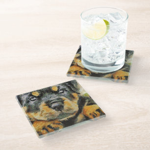 Artistic Rottweiler Puppy Portrait Glass Coaster