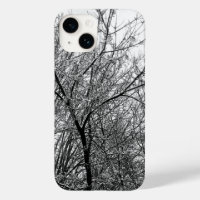 Artistic Snowy Tree Branches B & W Photography