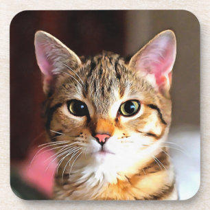 Artistic Tabby Cat Kitten Portrait Coaster