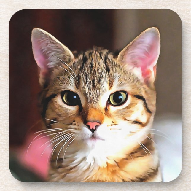 Artistic Tabby Cat Kitten Portrait Coaster (Front)