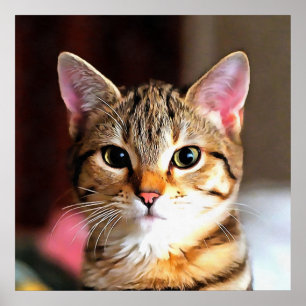 Artistic Tabby Cat Kitten Portrait Poster