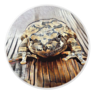 Artistic Tree Frog Decorative Ceramic Knobs