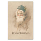 Artistic Vintage Father Christmas Portrait
