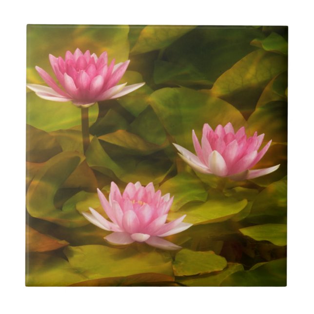 Artistic water lilies, California Ceramic Tile (Front)